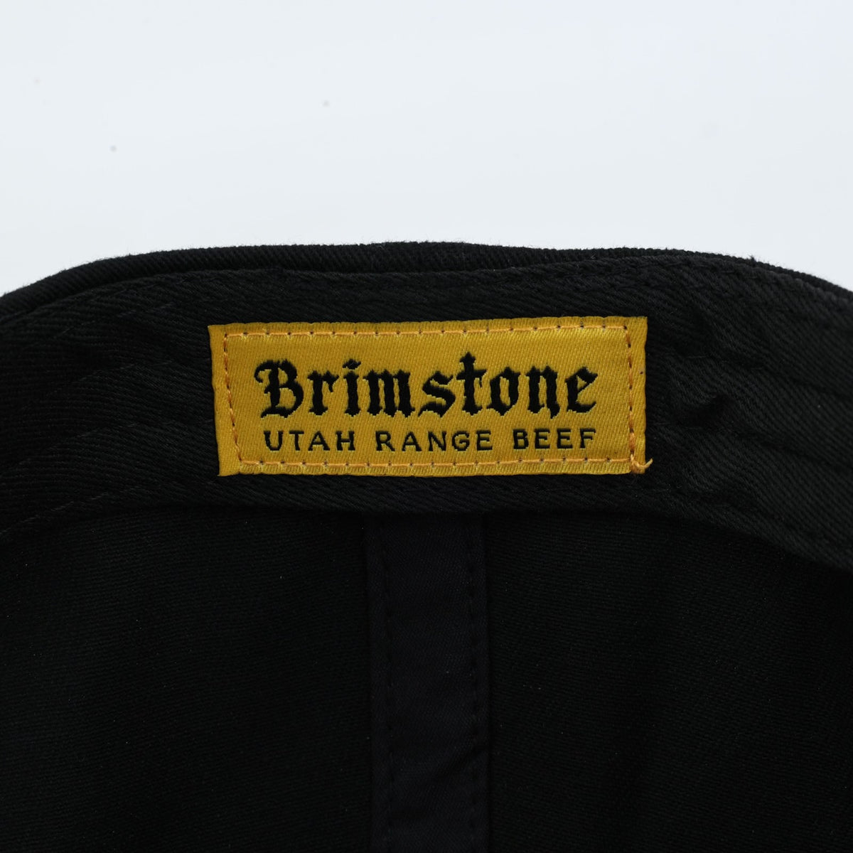 Golden Spike 1869 Snapback